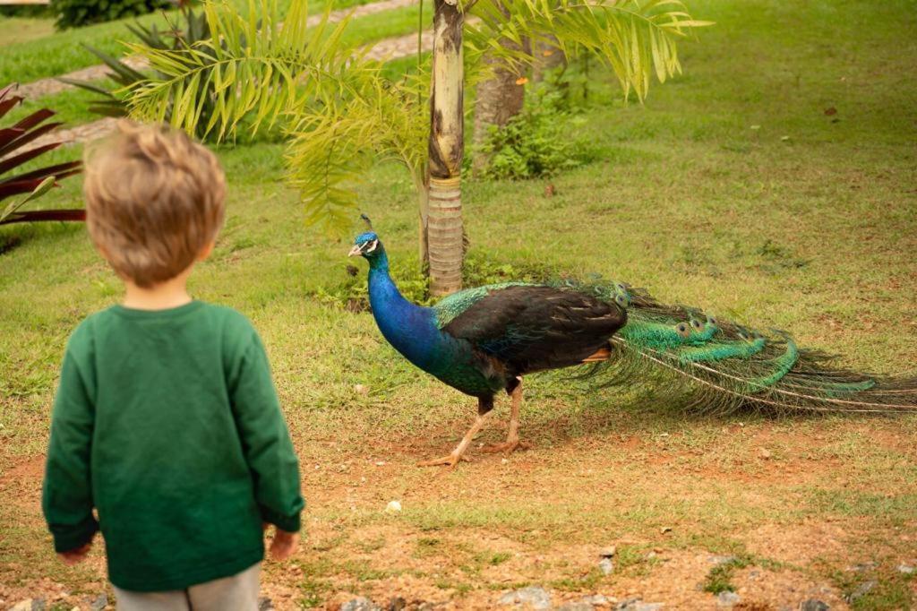 Pousada Campestre Vila Tiradentes Exteriör bild